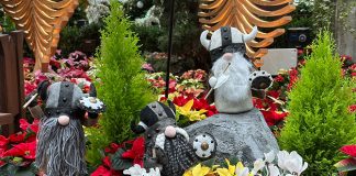 Poinsettia Wishes 2023: A Nordic Christmas Adventure At Gardens By The Bay