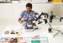 Heritage Conservation Centre: Preserving & Storing Singapore’s National Treasures