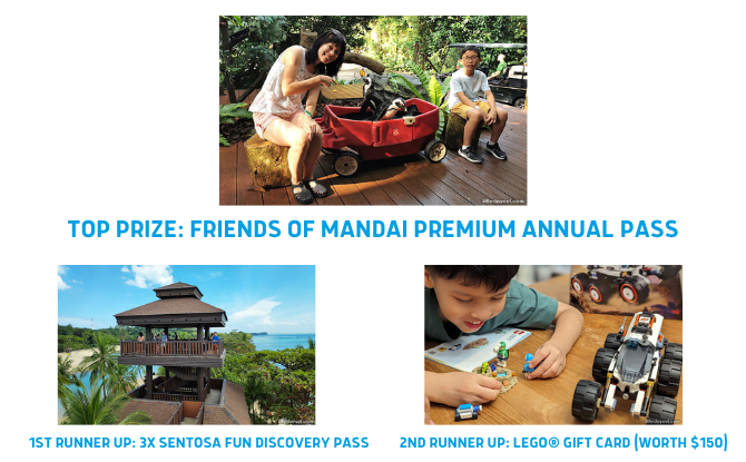 Playground In Your Style Competition – Semec x Little Day Out: More Than $2,000 Worth Of Prizes To Be Won 1 Categories, Timeline and Prizes