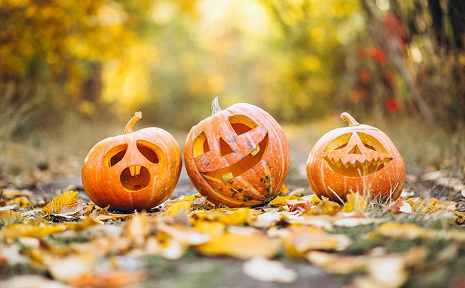 Spook-tacular Halloween Jokes and Laughs