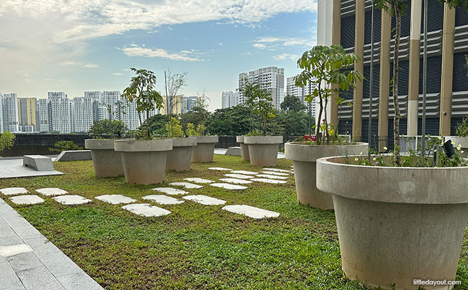 Hill next to the Punggol Coast Hawker Centre Playground