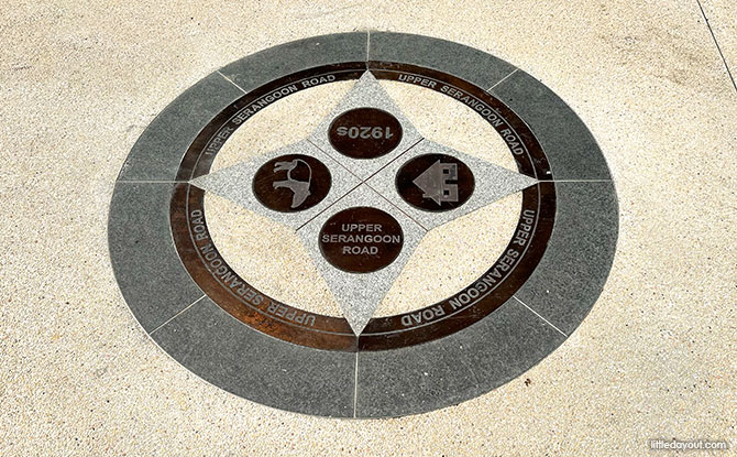 compass roses