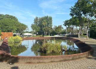 Punggol Point Park: Gateway To A Seaside Stroll Ponds at Punggol Point Park