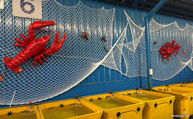 Seafood for Sale