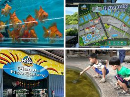 Qian Hu Fish Farm: 7 Things To Do & See When You Visit