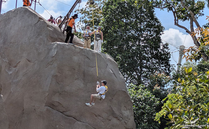 Rainforest Wild Adventure Guide: Blending 9 Adventure Experiences With Animal Encounters 10 Split Rock Summit