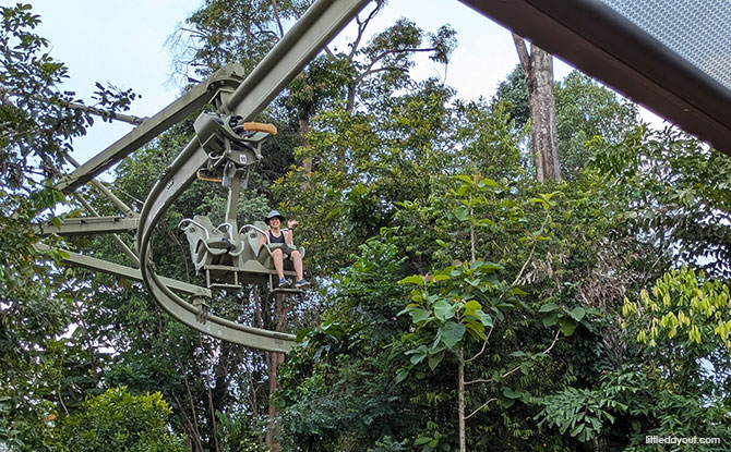 Rainforest Wild Adventure Guide: Blending 9 Adventure Experiences With Animal Encounters 8 Adventure+ at Rainforest Wild Adventure EAST