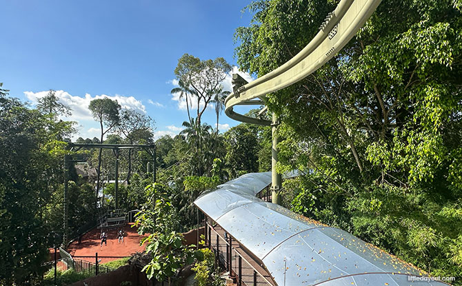 Rainforest Wild Adventure Guide: Blending 9 Adventure Experiences With Animal Encounters 4 Canopy Glider