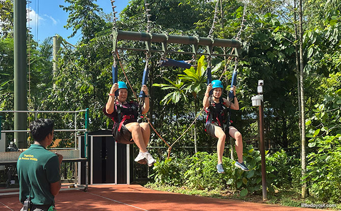 Rainforest Wild Adventure Guide: Blending 9 Adventure Experiences With Animal Encounters 9 Ravine Swing