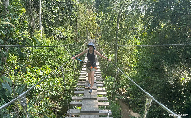 Rainforest Wild Adventure Guide: Blending 9 Adventure Experiences With Animal Encounters 11 Treetop Traverse