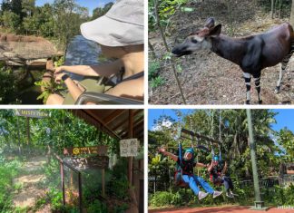 Rainforest Wild Adventure Guide: Blending 9 Adventure Experiences With Animal Encounters Rainforest Wild Adventure Guide: Blending 9 Adventure Experiences With Animal Encounters