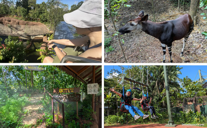 Rainforest Wild Adventure Guide: Blending 9 Adventure Experiences With Animal Encounters Rainforest Wild Adventure Guide: Blending 9 Adventure Experiences With Animal Encounters