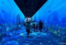 Things To Do For Children’s Day 2026 In Singapore: Events, Activities & Ideas Hallway of Hope