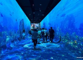 Things To Do For Children’s Day 2026 In Singapore: Events, Activities & Ideas Hallway of Hope