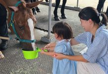 Horse Riding In Singapore: Where To Interact With Horses