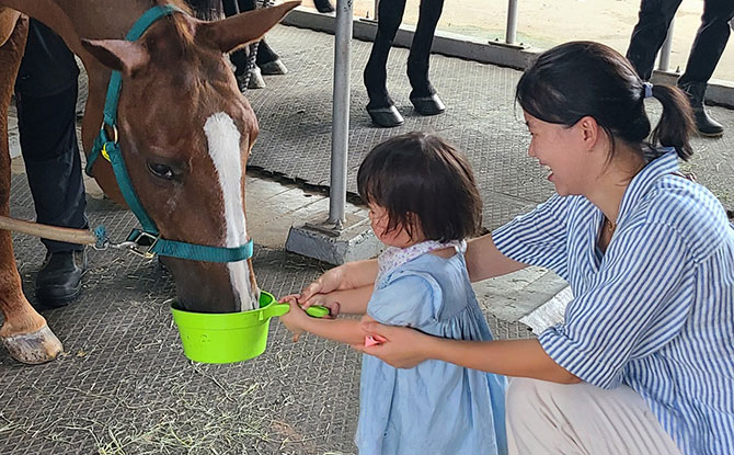 Horse Riding In Singapore: Where To Interact With Horses 7 Riding for the Disabled Association