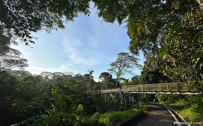 Senapang Trail and Hindhede Link