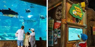 River Wonders Celebrates 10 Years With Special Activities Including A New Ranger Buddies Quest