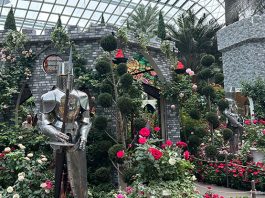 Rose Romance 2025: 15,000 Roses & The Legend Of King Arthur