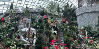 Rose Romance 2025: 15,000 Roses & The Legend Of King Arthur