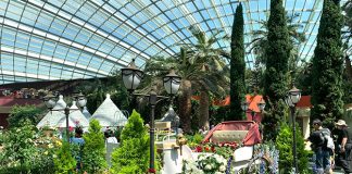 Rose Romance 2023: Be Transported To Puglia, Italy, At Gardens By The Bay Flower Dome
