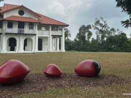 Little Stories: Saga Tree Grove At Gallop Extension