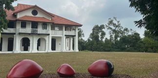 Little Stories: Saga Tree Grove At Gallop Extension