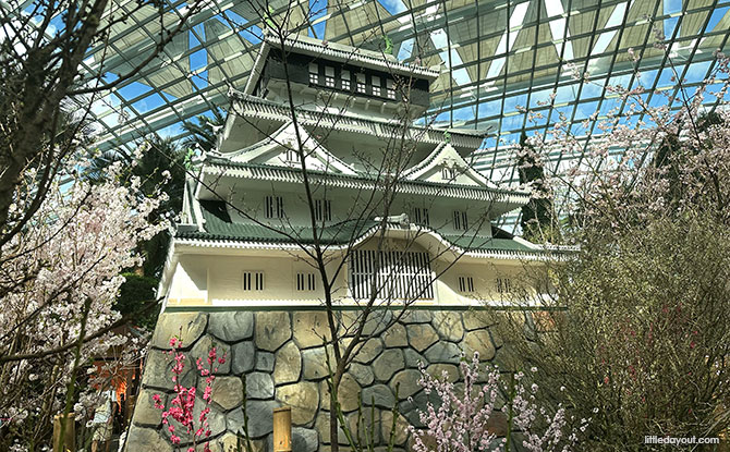 Uncover the Hidden Gems of Fukuoka Prefecture at the Flower Dome, Gardens by the Bay
