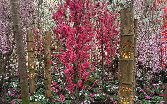 Bamboo lanterns