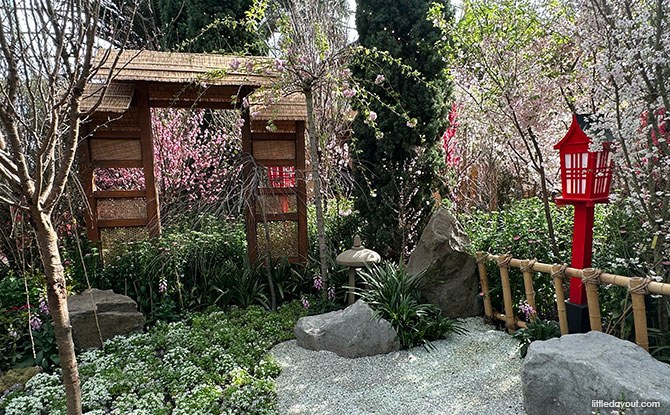 Sakura display - Zen gardens