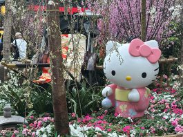 Sakura 2026 At Gardens By The Bay: Hello Kitty & Sanrio Characters, And The Ishikawa Prefecture