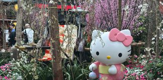 Sakura 2026 At Gardens By The Bay: Hello Kitty & Sanrio Characters, And The Ishikawa Prefecture