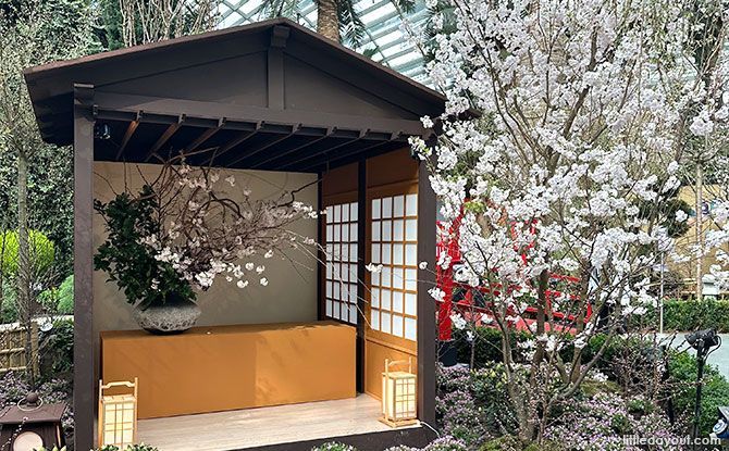 Japanese Landscapes at Sakura 2024, Gardens by the Bay