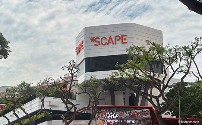 Programmes at *SCAPE