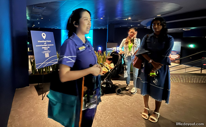 Animal Spotlight On Seahorses: Singapore Oceanarium's Seahorse Programme 1 We began our 45 minute tour with Chin, an excellent Animal Specialist guide brimming with knowledge and enthusiasm over the seahorse and its historical significance.