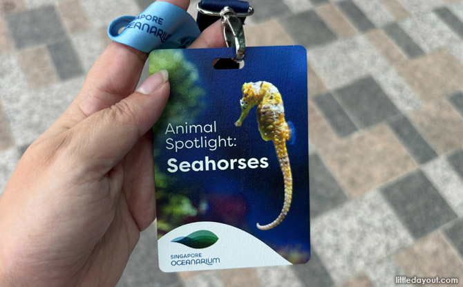 Animal Spotlight On Seahorses: Singapore Oceanarium's Seahorse Programme 4 eco-friendly souvenir — a lanyard with a wooden card