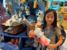 Animal Spotlight On Seahorses: Singapore Oceanarium's Seahorse Programme