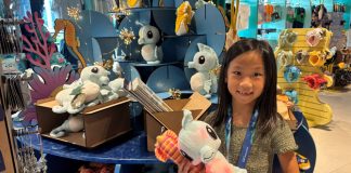 Animal Spotlight On Seahorses: Singapore Oceanarium's Seahorse Programme