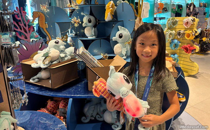 seahorse_spotlight_04 Animal Spotlight On Seahorses: Singapore Oceanarium's Seahorse Programme