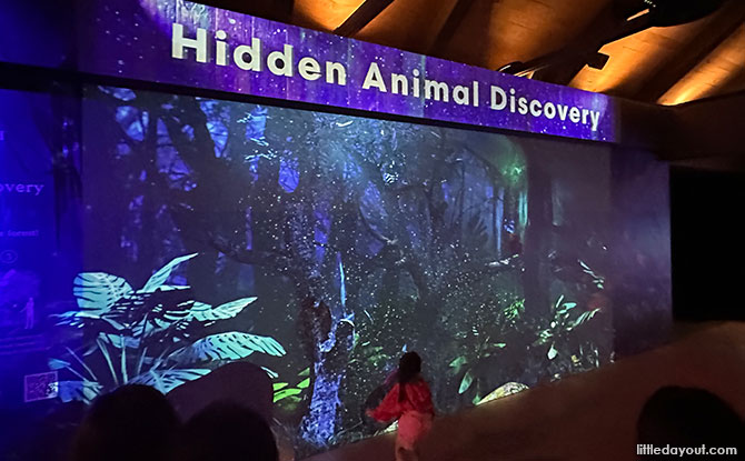 Hidden Animal Discovery