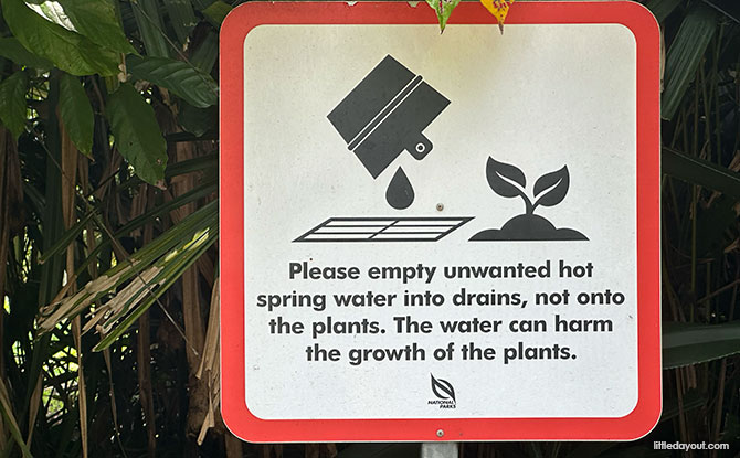 Sembawang Hot Spring Park: Guide To Singapore’s Natural Spa (Including How To Get There) 11 pour it away in the drain