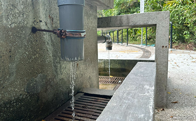 Sembawang Hot Spring Park: Guide To Singapore’s Natural Spa (Including How To Get There) 4 Visiting Sembawang Hot Spring Park: Good to Know