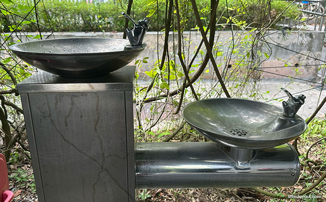 Sembawang Hot Spring Park: Guide To Singapore’s Natural Spa (Including How To Get There) 19 water coolers
