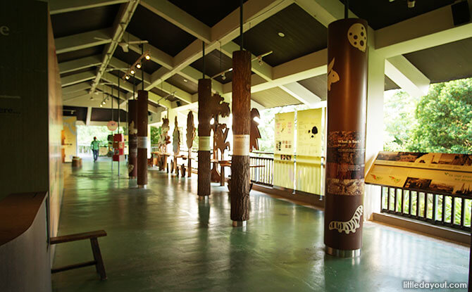 Sentosa Nature Discovery Overview