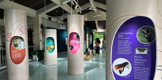 Sentosa Nature Discovery: Uncover The Island's Wild Heart Across 6 Zones In An Old Monorail Station