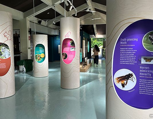 Sentosa Nature Discovery: Uncover The Island's Wild Heart Across 6 Zones In An Old Monorail Station