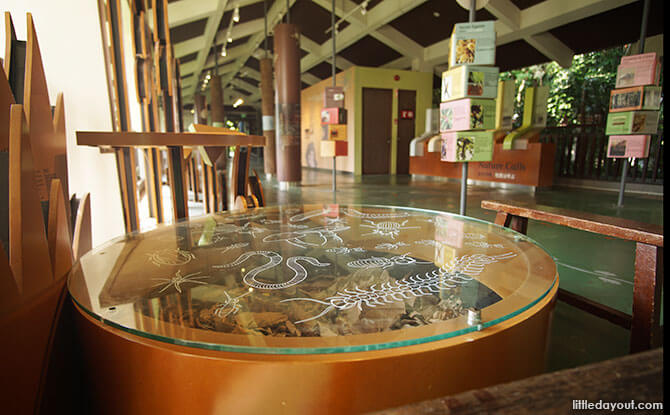 Sentosa Nature Discovery: Observe And Learn In An Old Monorail Station Sentosa Nature Discovery: Observe and Learn