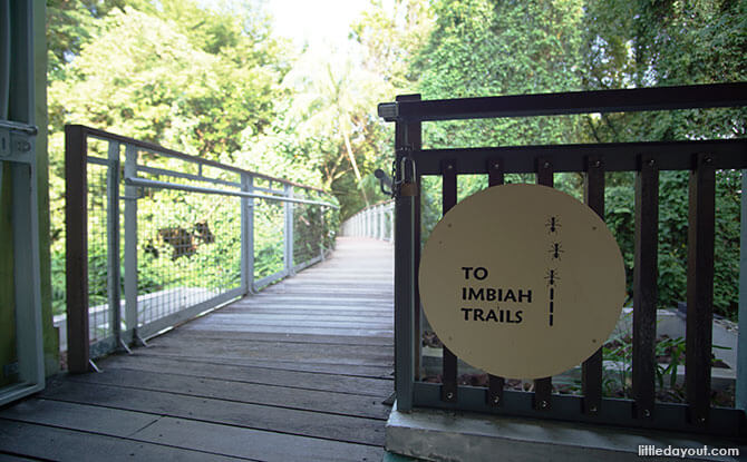 Head to the Imbiah Trails