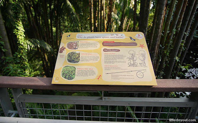 Information panels about nature in Sentosa