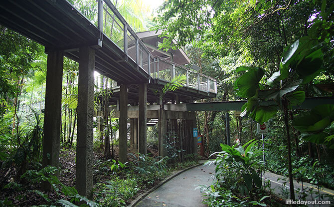 Bridge to Walking Trails on Sentosa